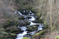 69. Flowing through Combepark