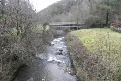 79. Looking downstream from Combe Park Bridge
