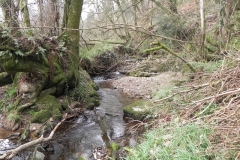 5. Upstream from Snowdrop Valley Footbridge
