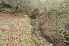 7. Early stream from Source A