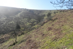 Source to Aller Combe 