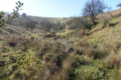2. Bagley Combe Headwater
