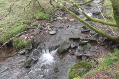27. Flowing past Sweetworthy