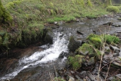 28. Flowing past Sweetworthy