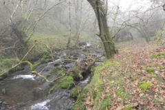 29. Flowing past Sweetworthy