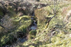 3. Bagley Combe Headwater