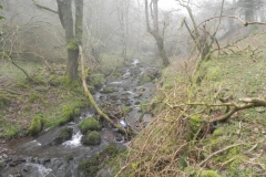30. Flowing past Sweetworthy