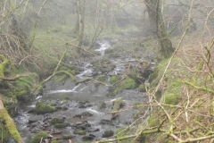 31. Flowing past Sweetworthy