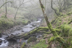 32. Flowing past Sweetworthy