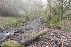 34. Upstream from Aller Combe