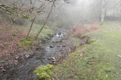 35. Upstream from Aller Combe
