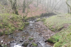 36. Upstream from Aller Combe