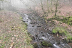 37. Upstream from Aller Combe