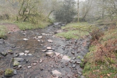 38. Upstream from Aller Combe