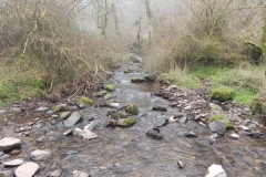 39. Upstream from Aller Combe