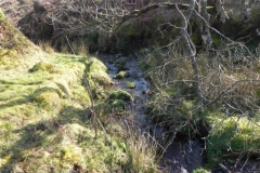4. Bagley Combe Headwater
