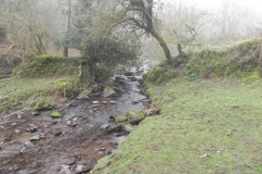 40. Upstream from Aller Combe