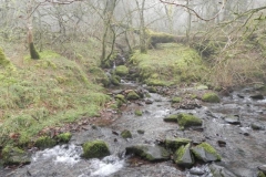 41. Waters from Aller Combe join East Water