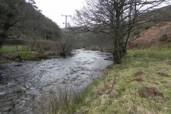 1a. Downstream from source