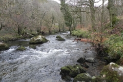 7. Downstream from Glebe House Bridge