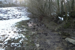 10. Tributary stream joins downstream from Codsend Bridge