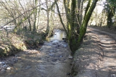 23. Downstream from Luckwell Bridge