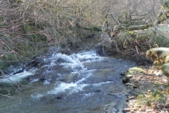 26. Downstream from Luckwell Bridge