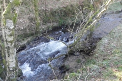 29. Upstream from ROW BRidge 3217