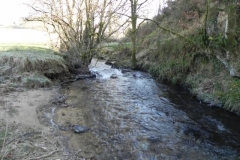 30. Upstream from ROW BRidge 3217