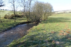 31. Upstream from ROW BRidge 3217