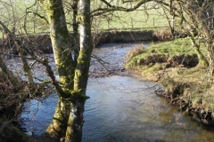 35. Downstream from ROW BRidge 3217