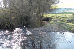 36. Downstream from ROW BRidge 3217