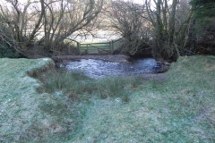 38. Downstream from ROW BRidge 3217