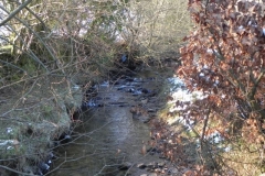 5. Looking upstream from Codsend bridge