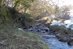5. Upstream from Codsend bridge