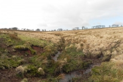 Source to Chetsford Bridge