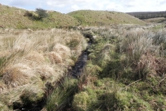 10. Flowing past Hurdle Down