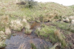 12. Ford below Hurdle Down