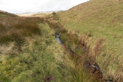 16. Flowing past Hurdle Down