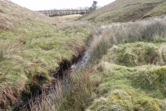 17. Flowing past Hurdle Down