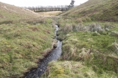 18. Flowing past Hurdle Down