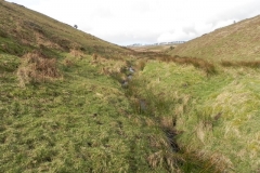 19. Flowing past Hurdle Down