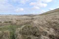 2. Looking downstream