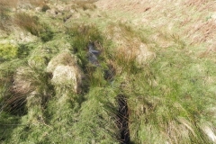 20. Flowing past Hurdle Down
