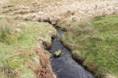 24. Flowing past Hurdle Down