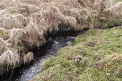 27. Flowing past Hurdle Down