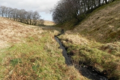 28. Upstream from Chetsford Bridge