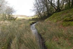 29. Upstream from Chetsford Bridge