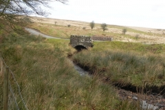 30. Upstream from Chetsford Bridge