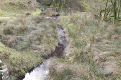 31. Looking upstream from Chetsford Bridge